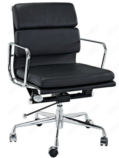 Soft Pad Chair - EA 217
