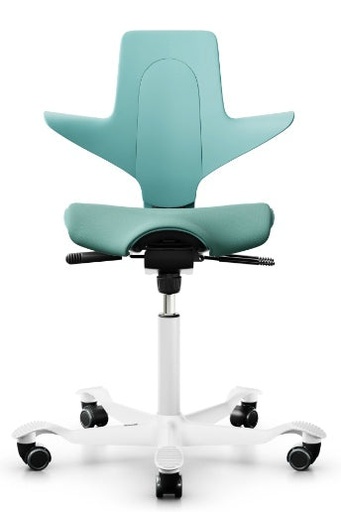HAAG Capisco Puls 8020