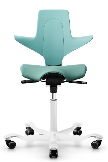 HAAG Capisco Puls 8020